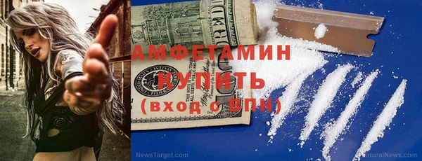 прущие грибы Аркадак