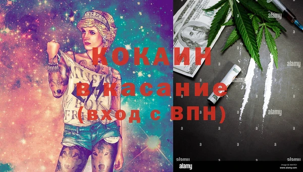 прущие грибы Аркадак