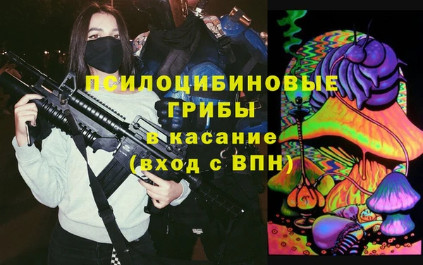 герыч Арсеньев