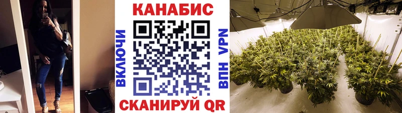 Бошки марихуана AK-47  даркнет как зайти  Саров  ссылка на мегу tor 